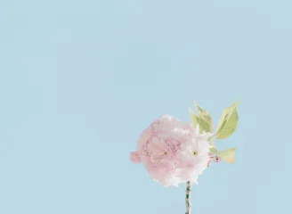 狗子28-APP下载
