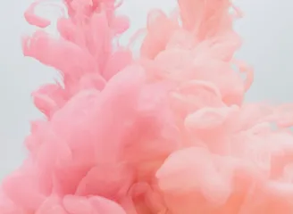 狗子28-APP下载
